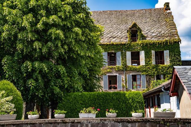 Les Tilleuls Besse-et-Saint-Anastaise Exterior foto
